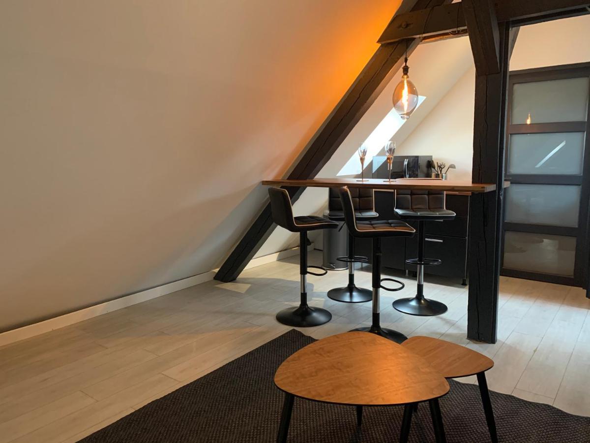 Cocoon Loft Apartment Colmar Exterior photo