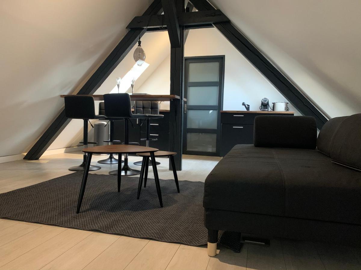 Cocoon Loft Apartment Colmar Exterior photo